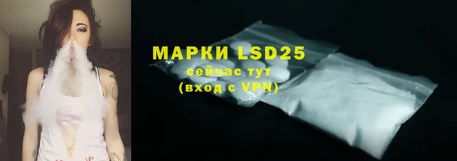 марки lsd Бородино