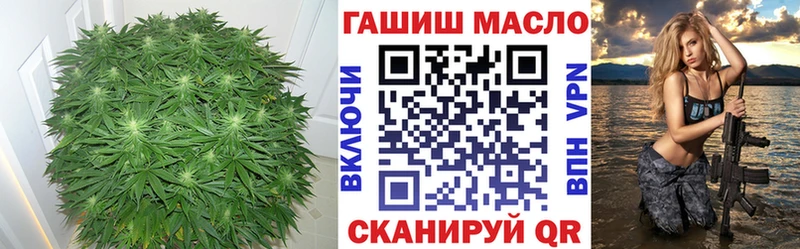 ТГК гашишное масло  мега маркетплейс  Гаврилов-Ям 