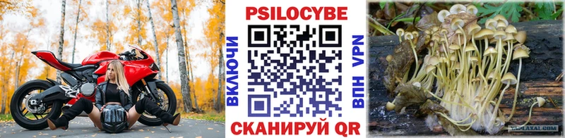 Галлюциногенные грибы Psilocybine cubensis  Гаврилов-Ям 